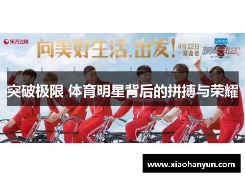 突破极限 体育明星背后的拼搏与荣耀